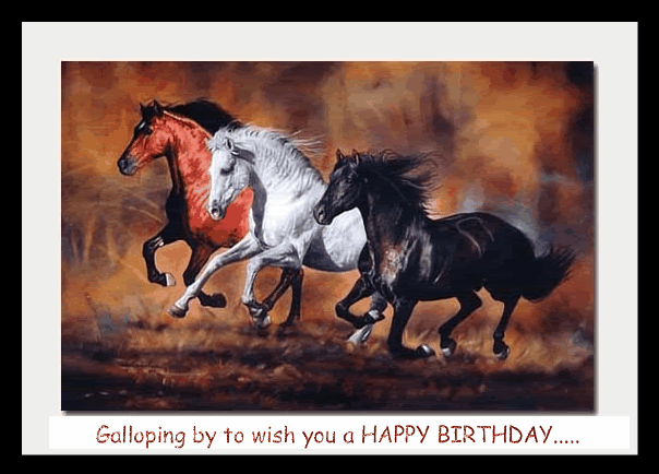 Happy Birthday Horse Pictures. Horse Happy Birthday Pictures,
