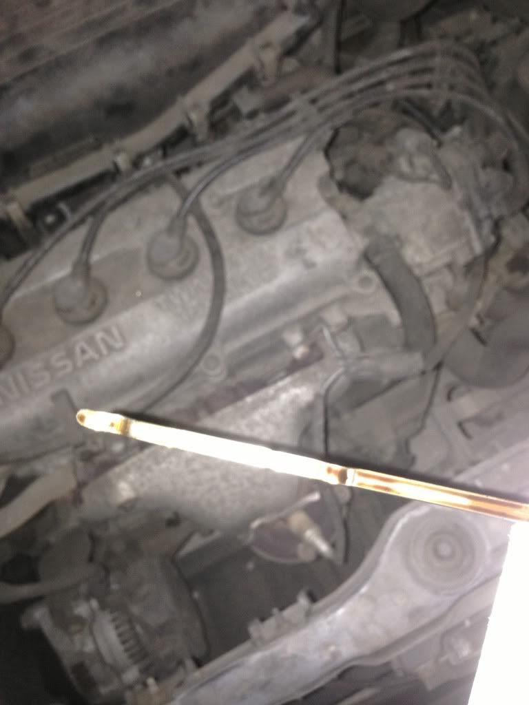Dipstick oil level Micra Sports Club