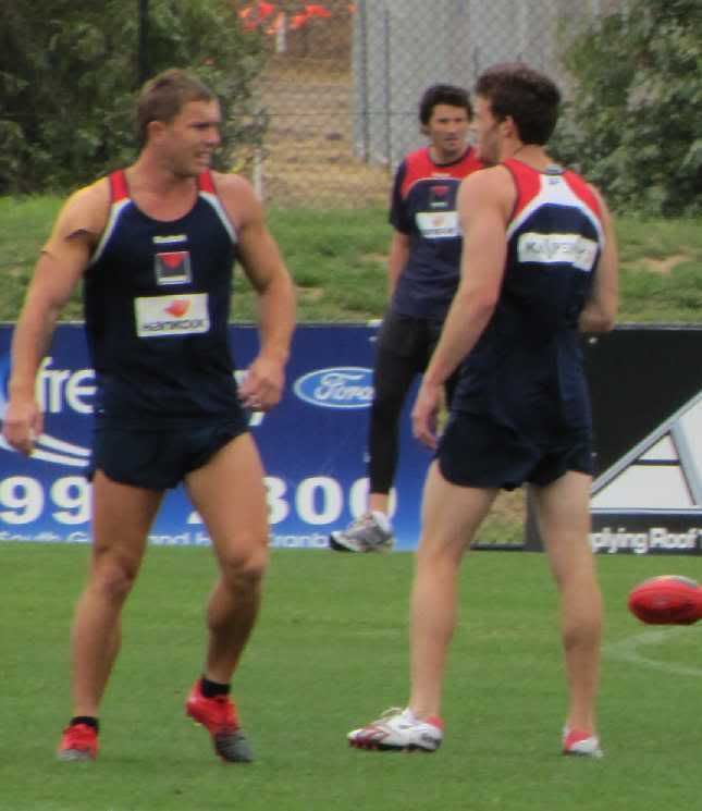 Musclescomparison.jpg