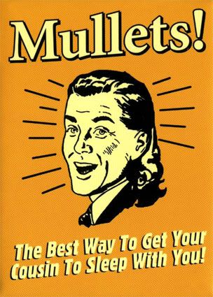 Mullets-cousin.jpg