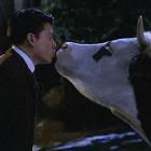 SpiritFolk_AeFondKiss-av.jpg