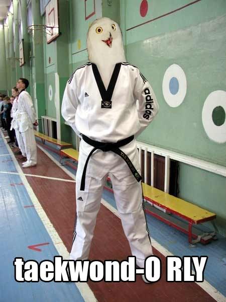 _taekwond-O-RLY.jpg