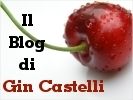 Il Blog di Gin Castelli