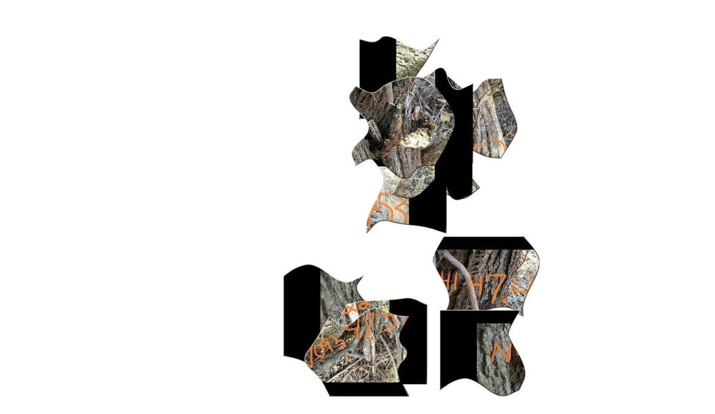 Jester Puzzle photo Jester puzzle.jpg