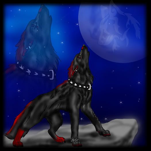 DarkShadow.jpg Dark Wolf image by lakota9876