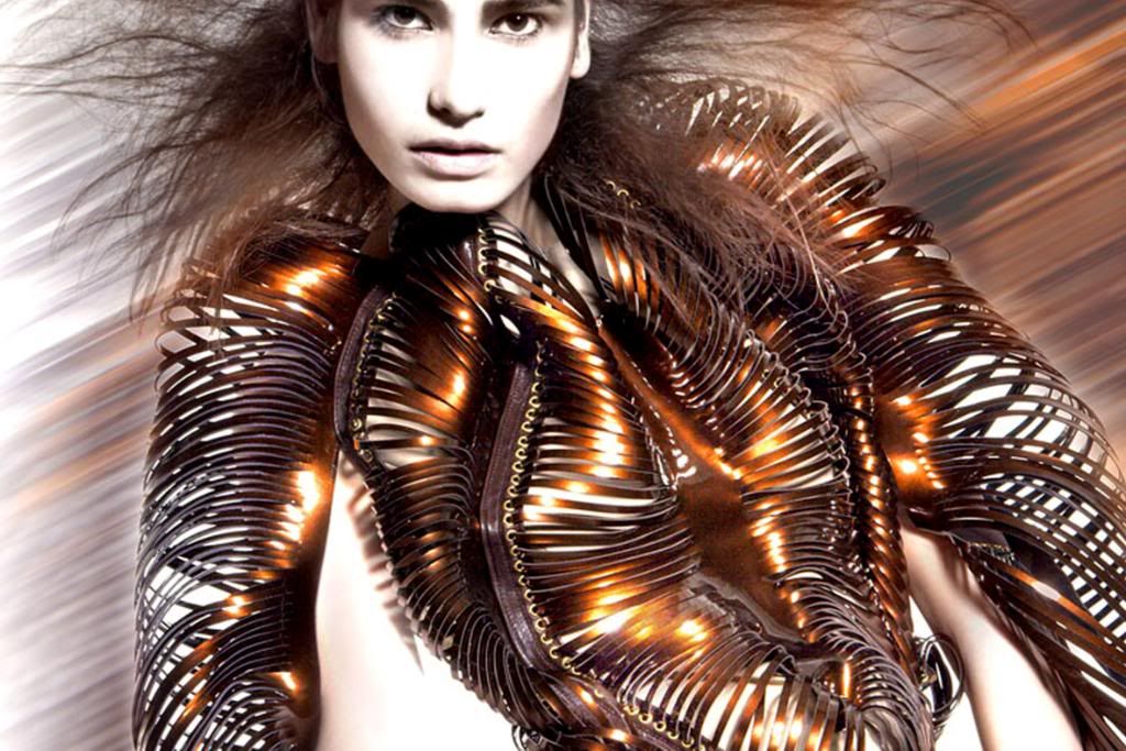 IrisVanHerpen5.jpg picture by jojogya