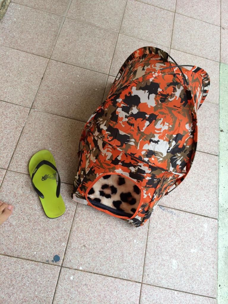 HCM lều cho chó cực bền,cực đẹp,cực rẻ!