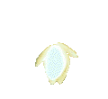 Lotus openend photo white-Lotus.gif