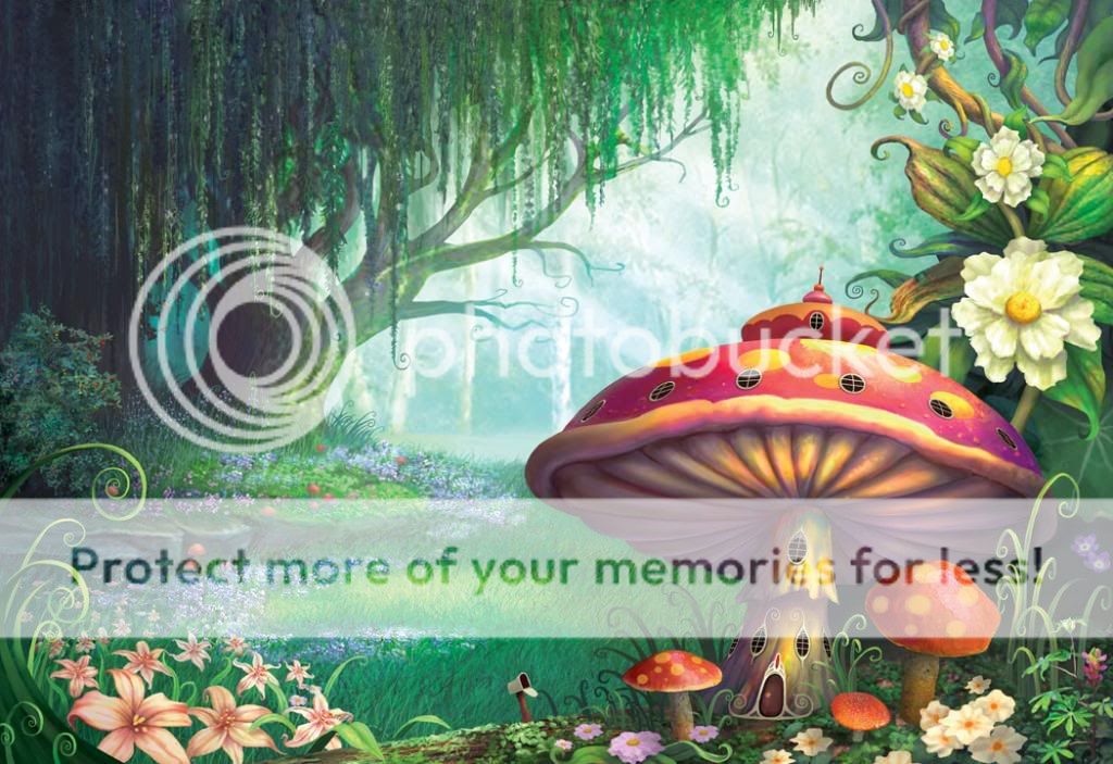 fantasy woods Pictures, Images and Photos